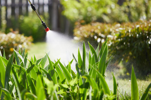 24/7 Emergency Wasp Removal experts in East Point, GA