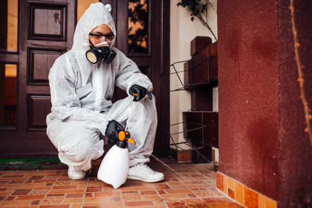 Reliable Wasp Removal contractor in East Point, GA by Show Me Pest Control
